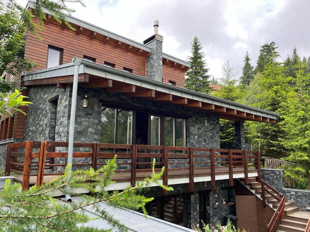 Bazalt Wellness Villa Harghita-Băi Eksteriør billede