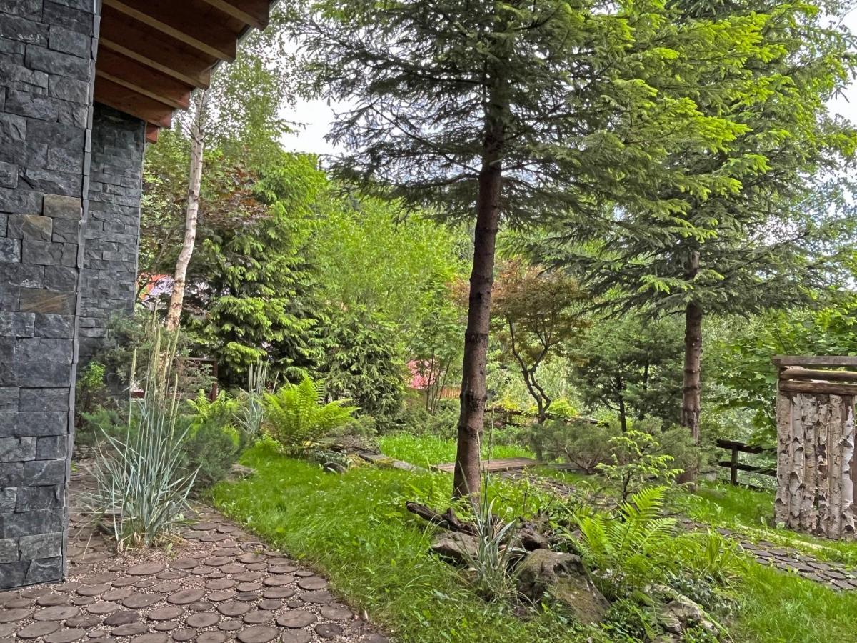 Bazalt Wellness Villa Harghita-Băi Eksteriør billede