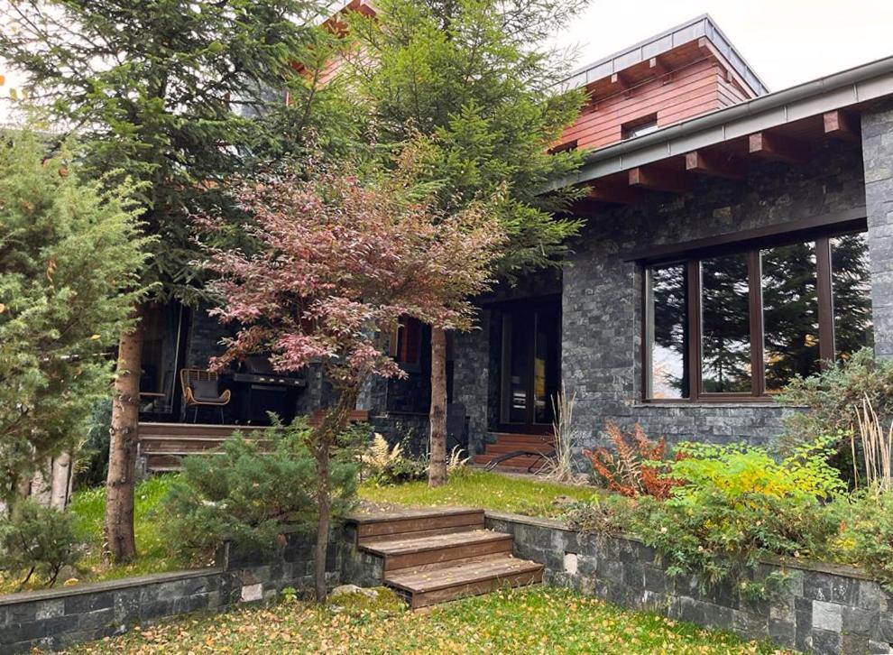 Bazalt Wellness Villa Harghita-Băi Eksteriør billede